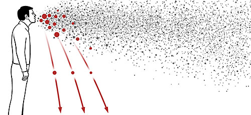 Viruses can spread through the air in two ways: inside large droplets that fall quickly to the ground (red), or inside tiny droplets that float in the air (gray). In the first route, called droplet transmission, the virus can spread only about 3 to 6 feet from an infected person. In the second route, called airborne transmission, the virus can travel 30 feet or more.